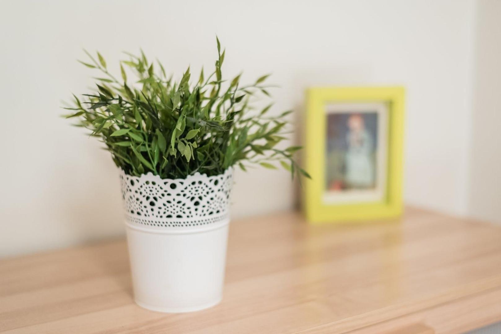 Guestready - Amaryllis Apartment OOporto Esterno foto